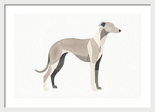 Greyhound Silhouette In Watercolor