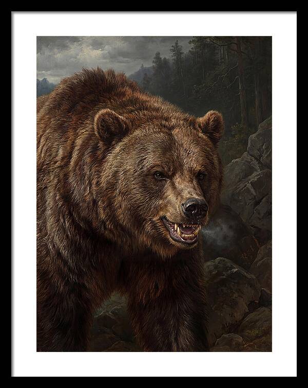 Grizzly Bear Majesty