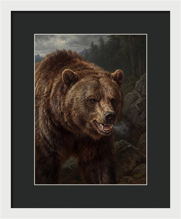 Grizzly Bear Majesty