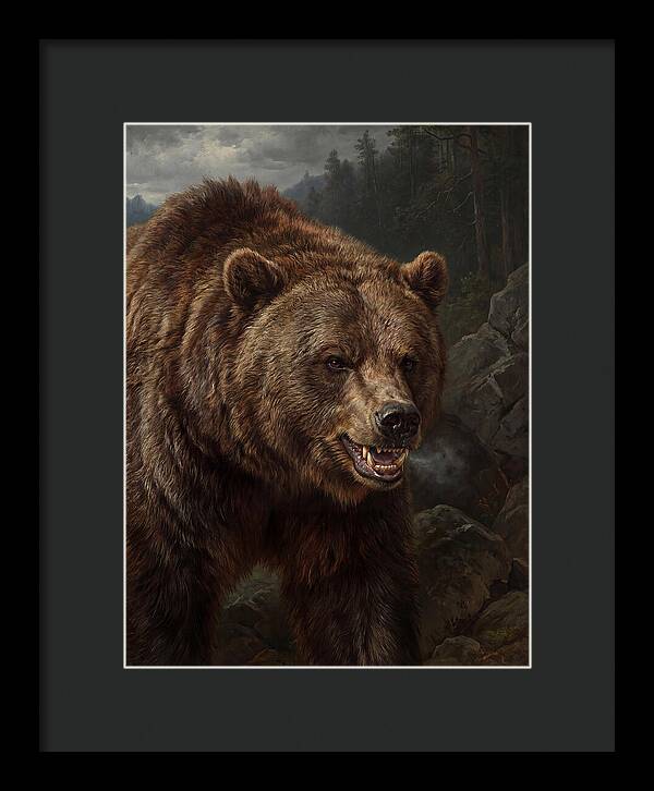 Grizzly Bear Majesty