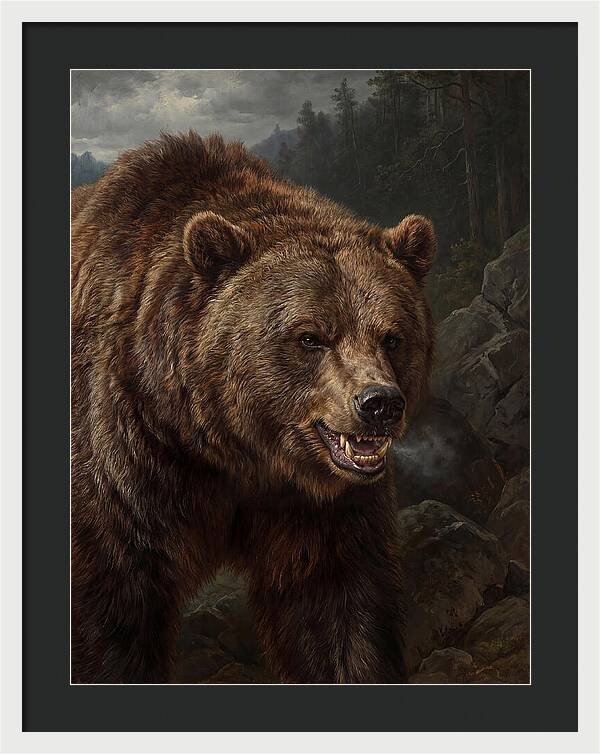 Grizzly Bear Majesty