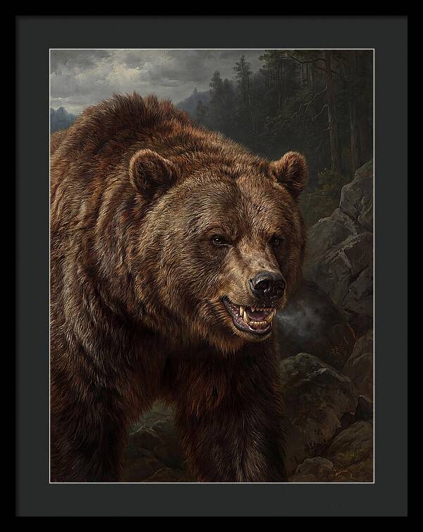 Grizzly Bear Majesty