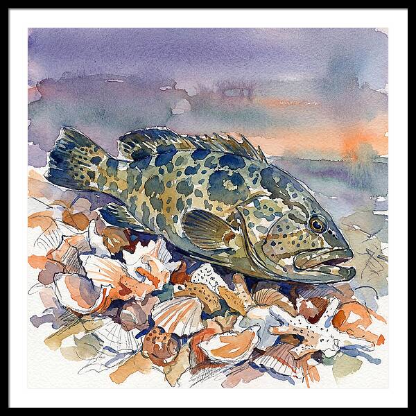 Grouper Among Seashells