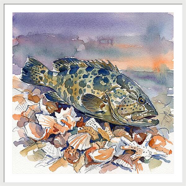 Grouper Among Seashells