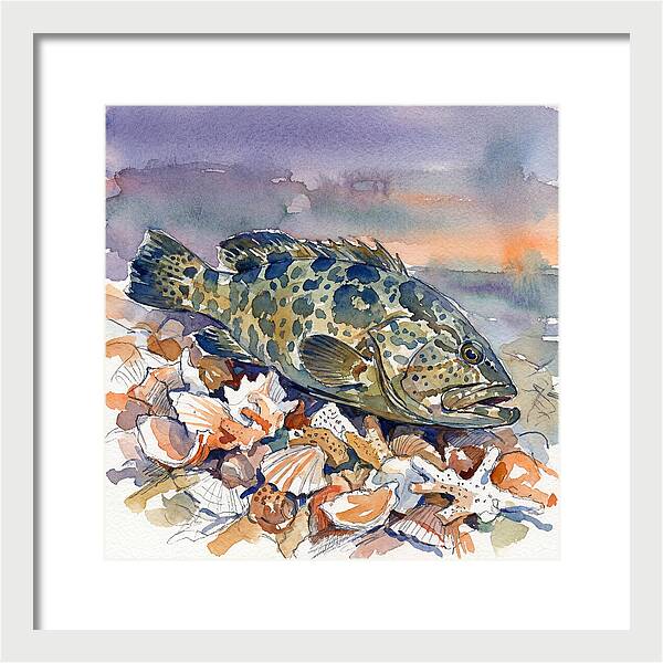 Grouper Among Seashells