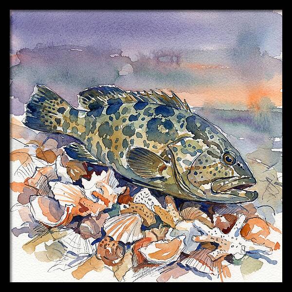Grouper Among Seashells
