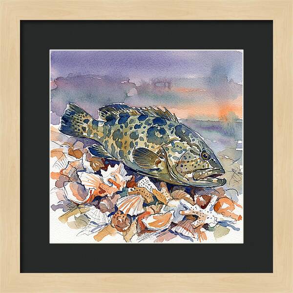 Grouper Among Seashells