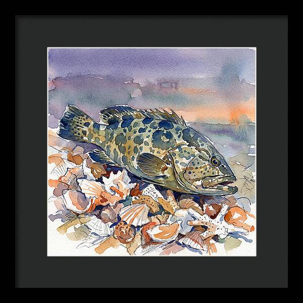 Grouper Among Seashells