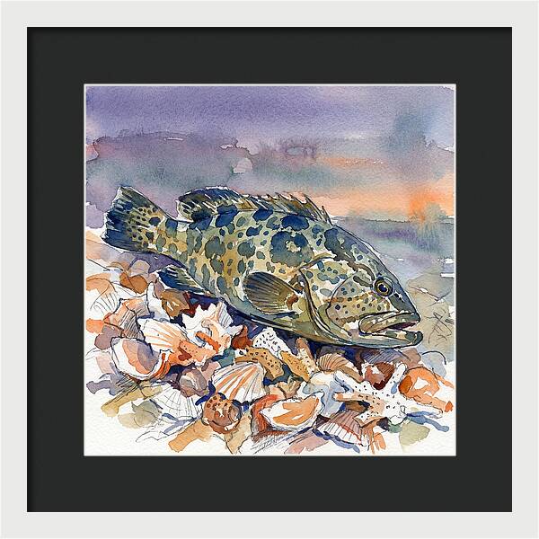 Grouper Among Seashells