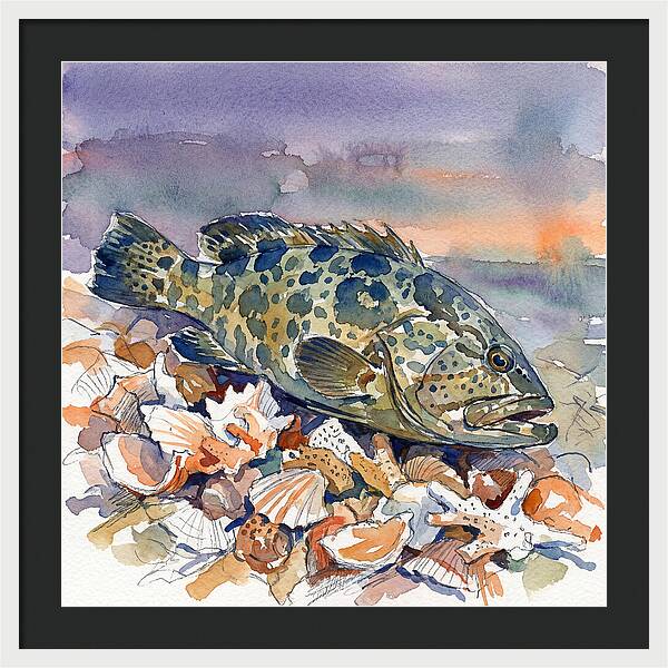 Grouper Among Seashells