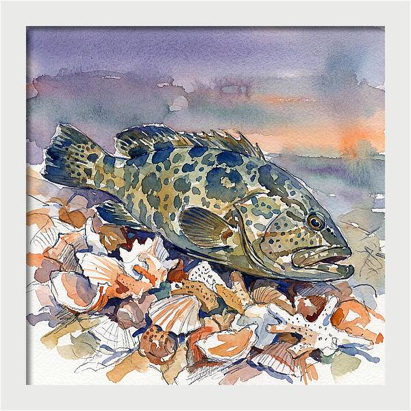 Grouper Among Seashells