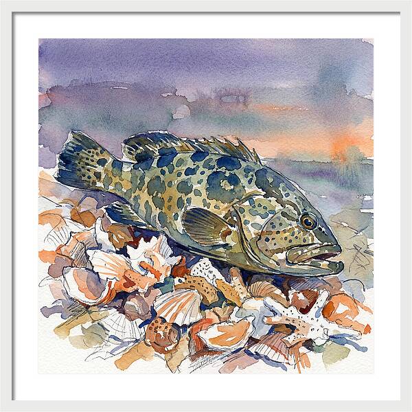 Grouper Among Seashells
