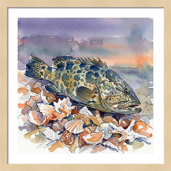 Grouper Among Seashells