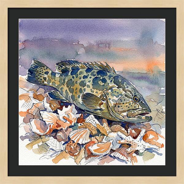 Grouper Among Seashells