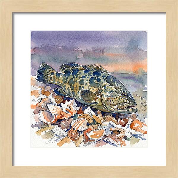 Grouper Among Seashells