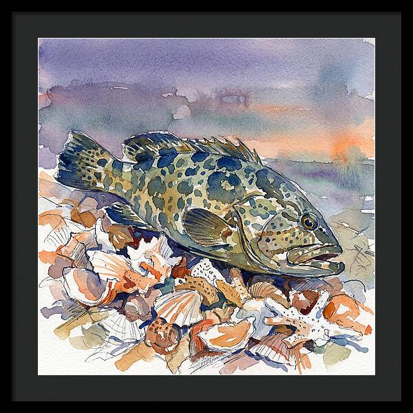 Grouper Among Seashells