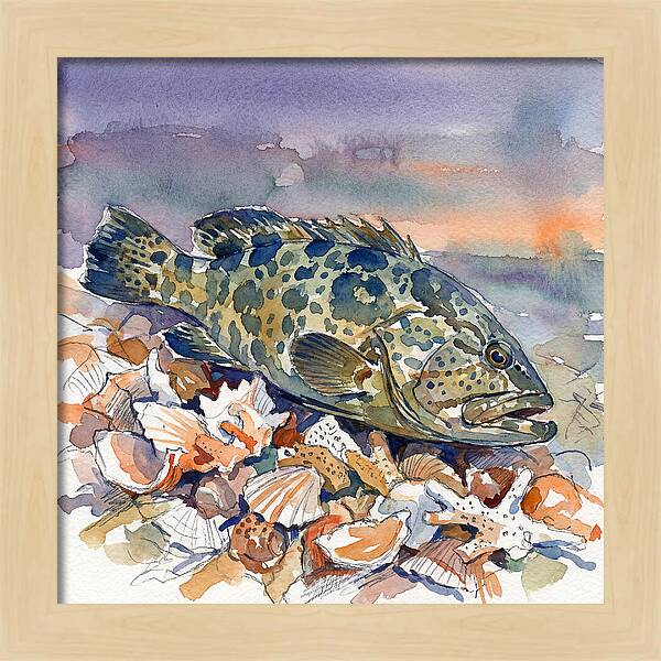 Grouper Among Seashells