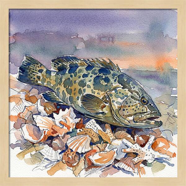 Grouper Among Seashells