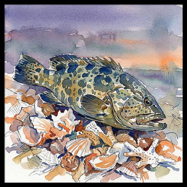 Grouper Among Seashells