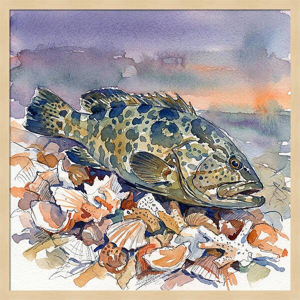 Grouper Among Seashells