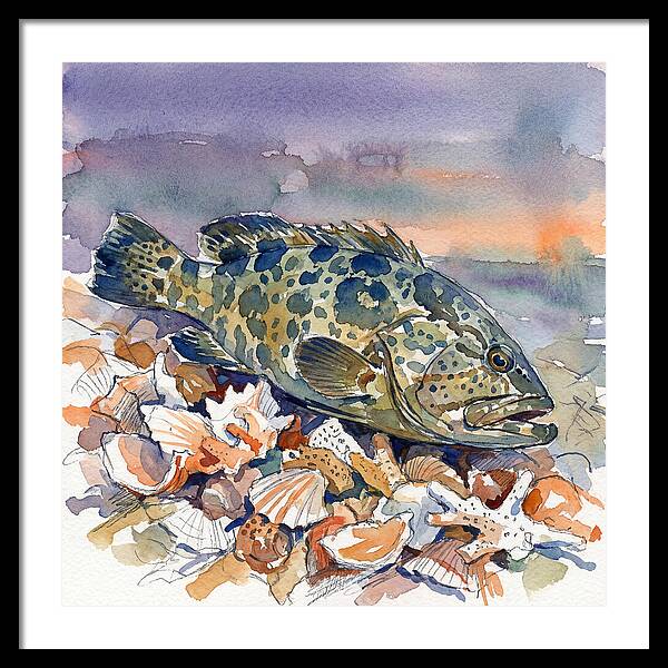Grouper Among Seashells