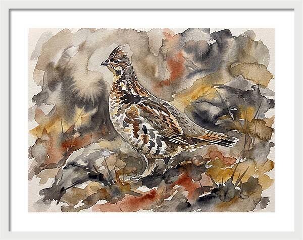 Grouse Among Vibrant Hues