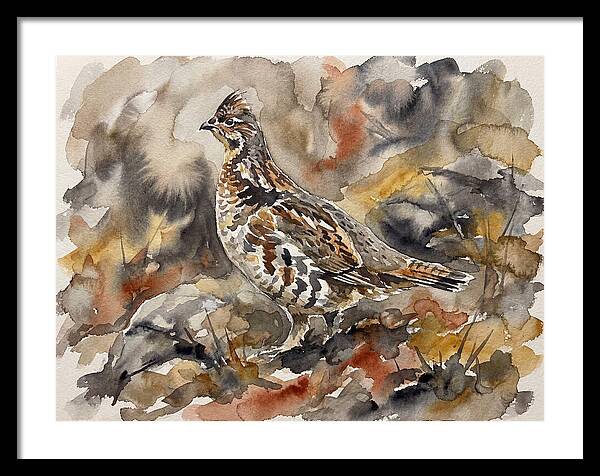 Grouse Among Vibrant Hues
