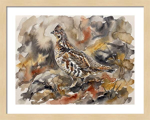 Grouse Among Vibrant Hues