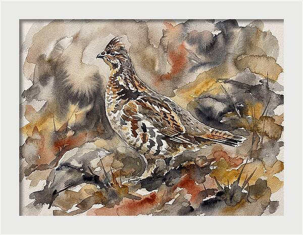 Grouse Among Vibrant Hues