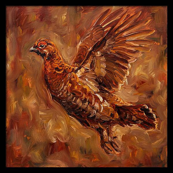 Grouse In Flight