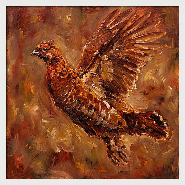 Grouse In Flight