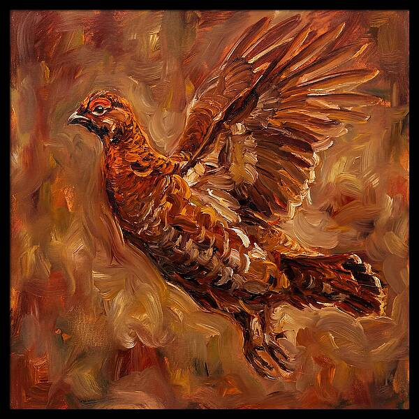 Grouse In Flight