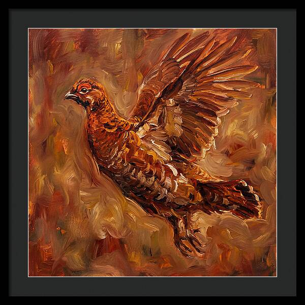 Grouse In Flight