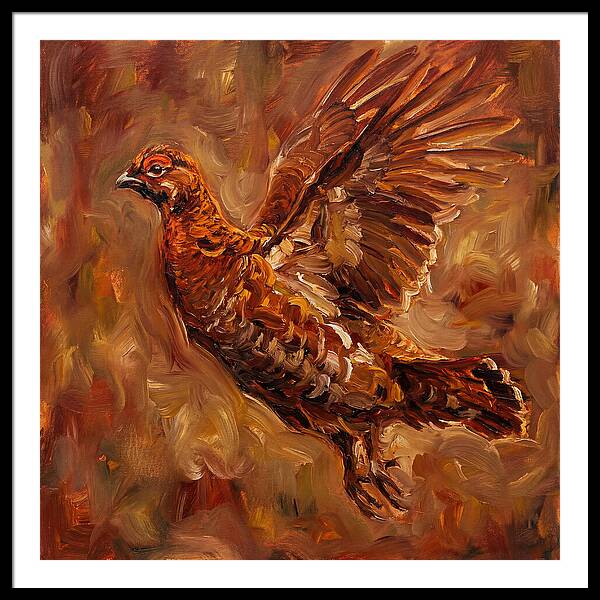 Grouse In Flight