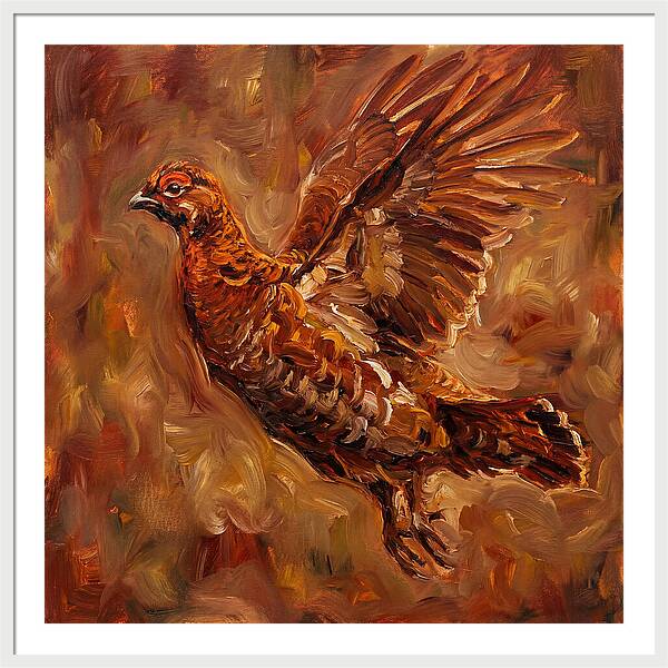 Grouse In Flight