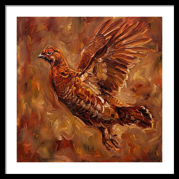 Grouse In Flight