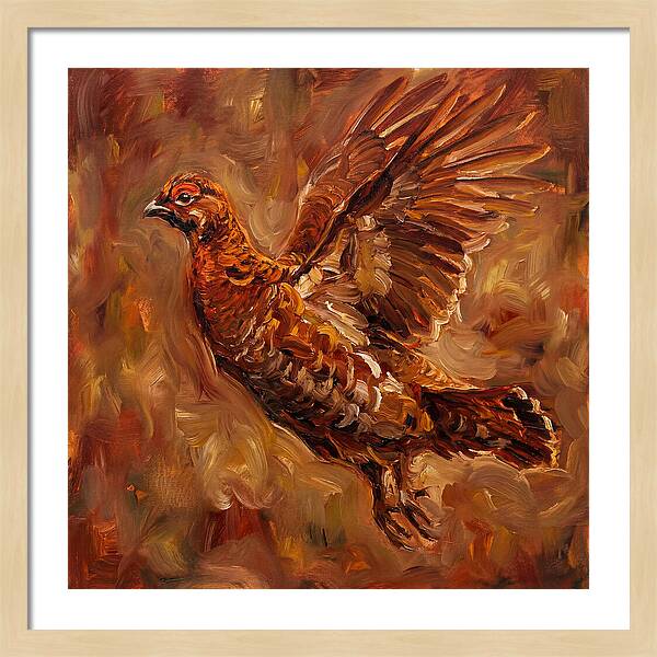 Grouse In Flight