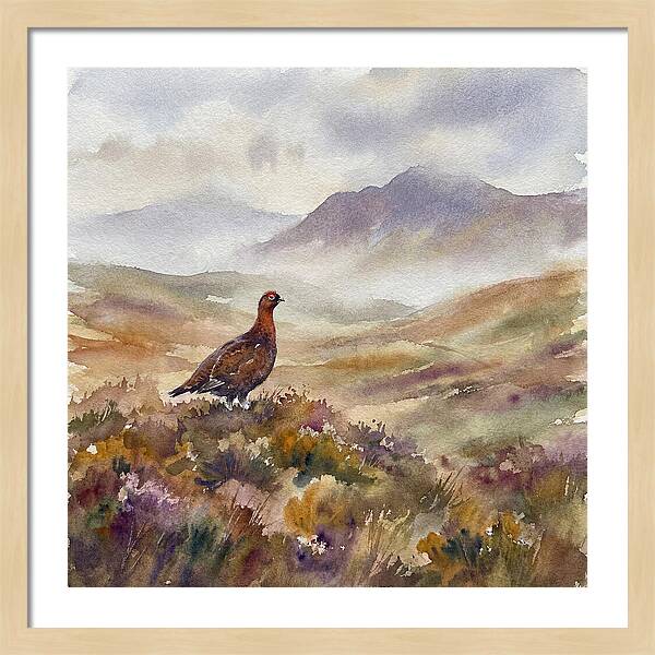 Grouse In Serene Landscape