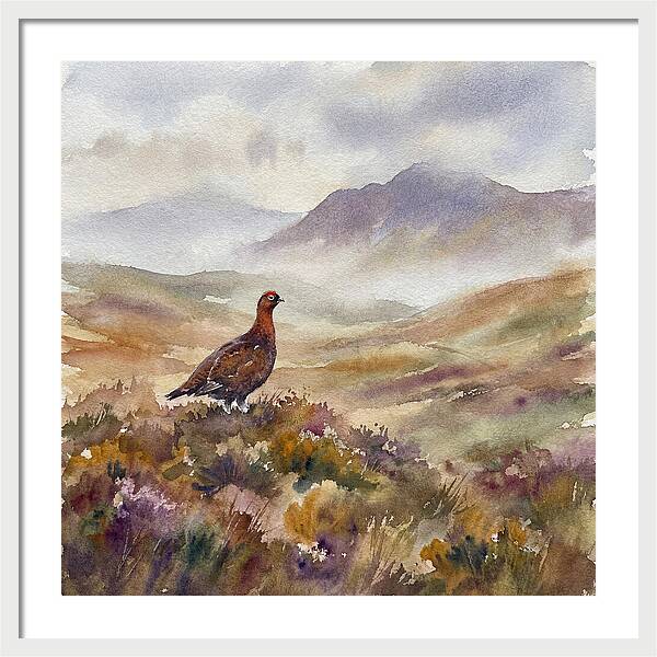 Grouse In Serene Landscape