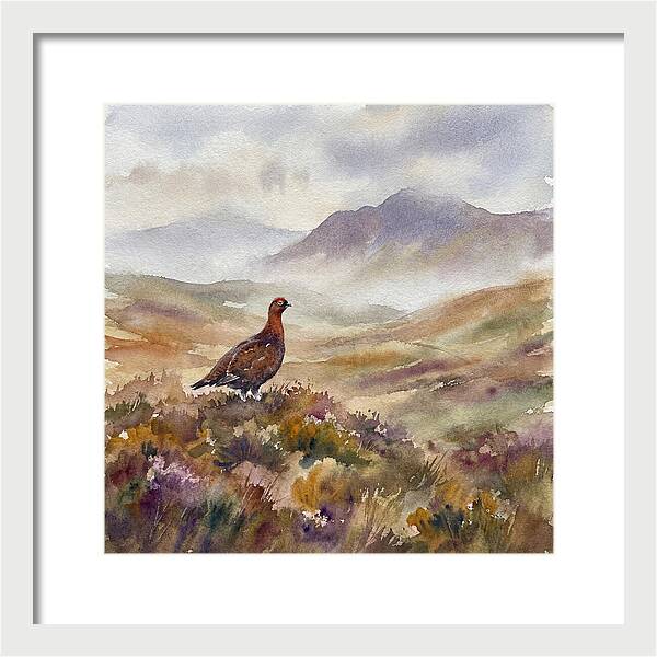 Grouse In Serene Landscape