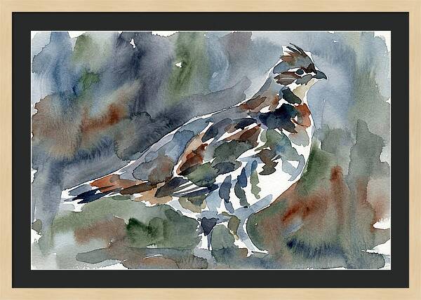 Grouse In Watercolor Harmony