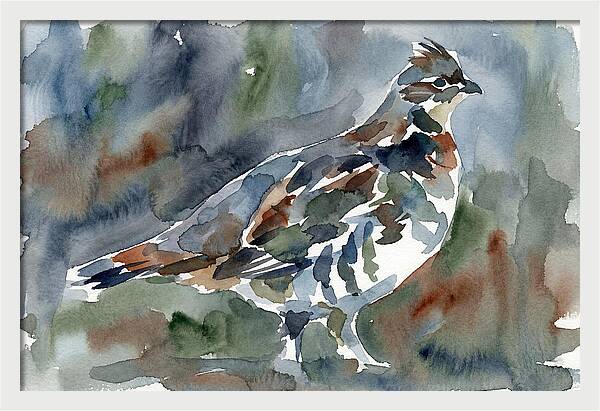 Grouse In Watercolor Harmony
