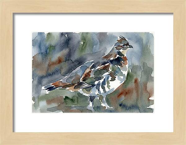 Grouse In Watercolor Harmony