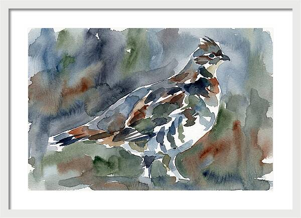 Grouse In Watercolor Harmony