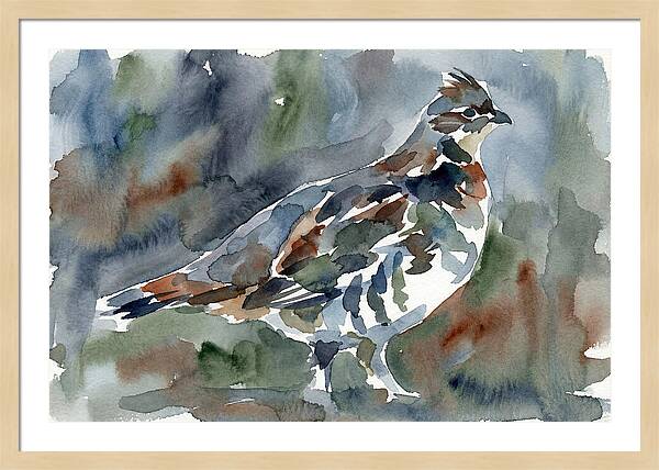 Grouse In Watercolor Harmony