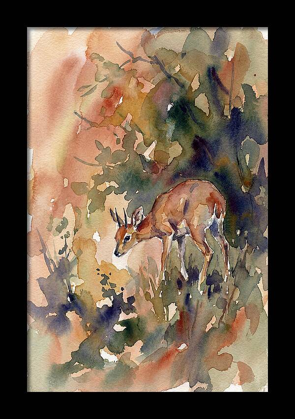 Grysbok In Watercolor
