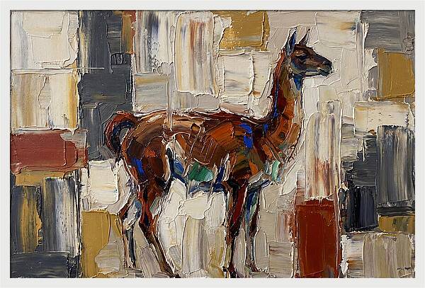 Guanaco In Abstract Palette