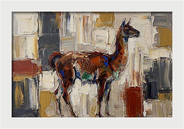Guanaco In Abstract Palette