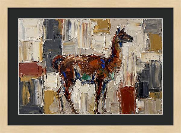Guanaco In Abstract Palette