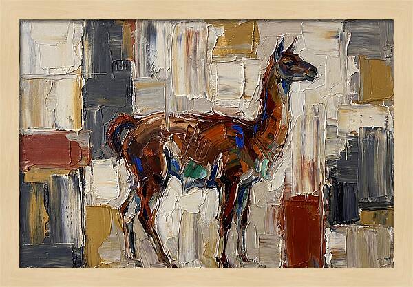 Guanaco In Abstract Palette